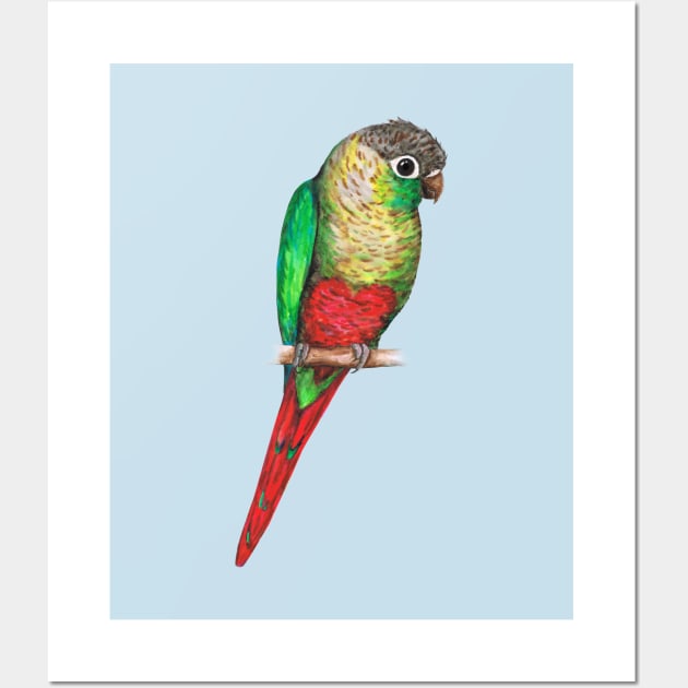 Conure with a heart on its belly Wall Art by Bwiselizzy